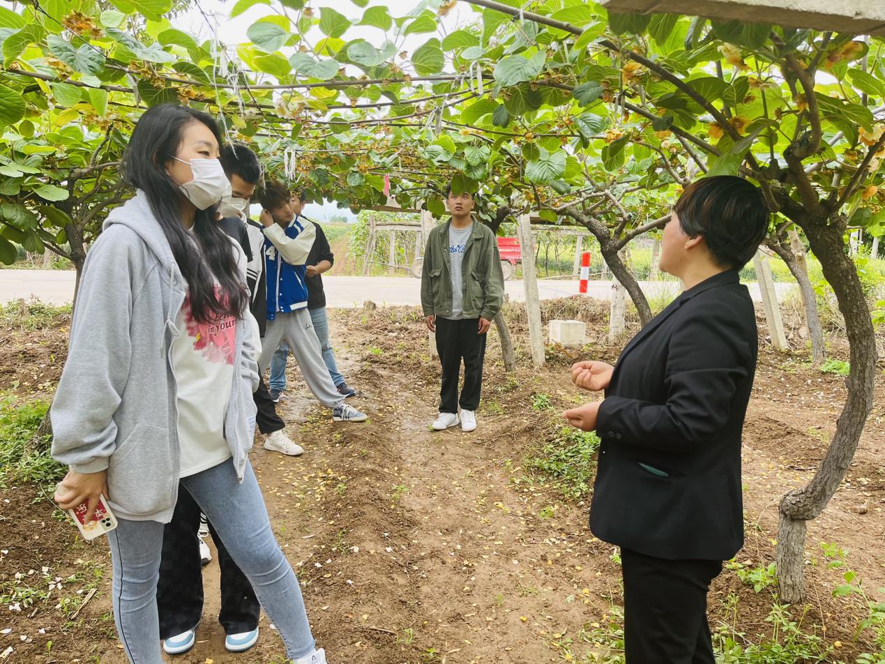 学生参观学习果园管理技术